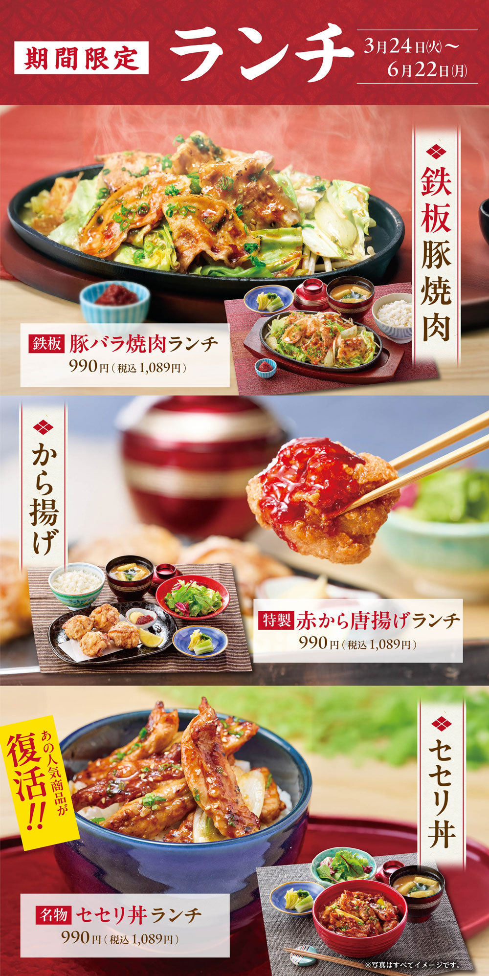 期間限定ランチ